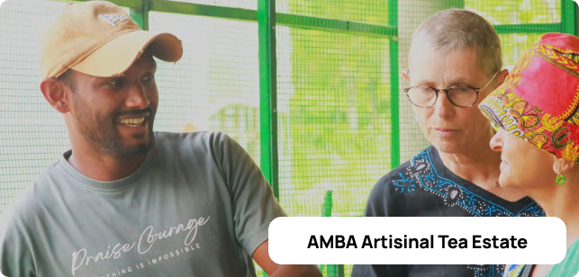 AMBA Estate